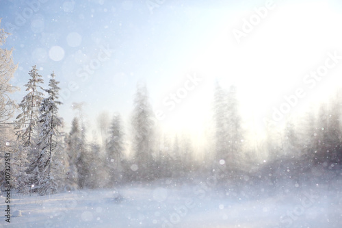 winter background blur forest snowflakes bokeh photo