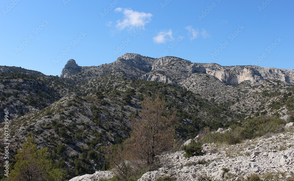 Calanques de Cassis - Côte d’Azur 12 Calanques de Cassis - Côte d’Azur 12