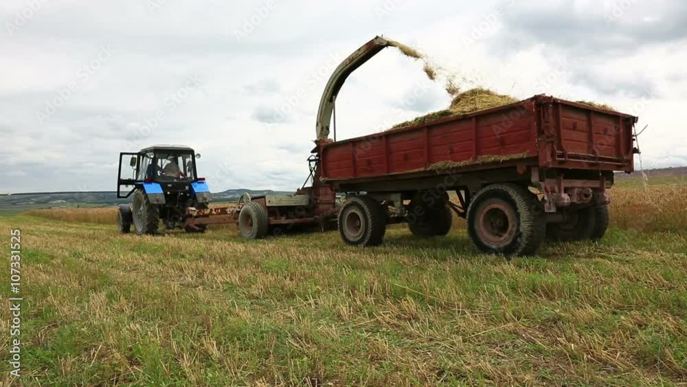 Agriculture machinery harvesting at farmland in summer day Agriculture machinery harvesting at farmland in summer day