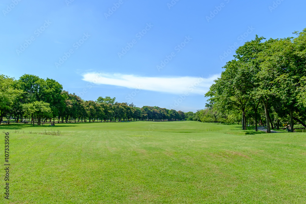 Green nature on public park