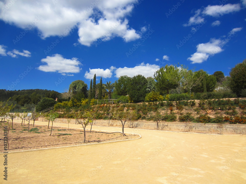Mediterranean garden with orchard