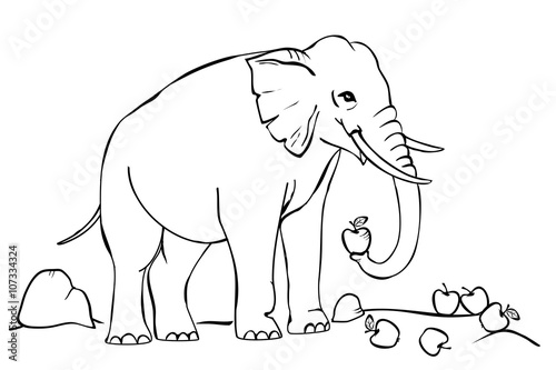 Elefant (Malvorlage) photo