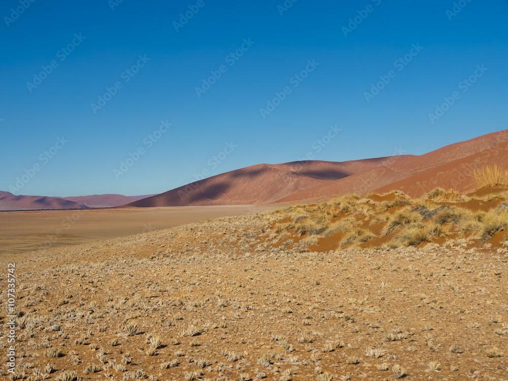 Sanddüne am Rand der Namib Wüste, Tsarisberge,   Hammerstein, Sossosvley Region Hardap, Namibia , Afrika