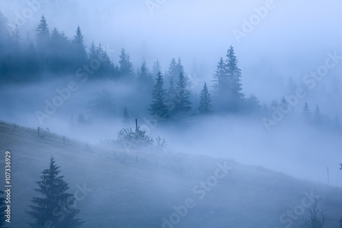 Morning mist in mountain.