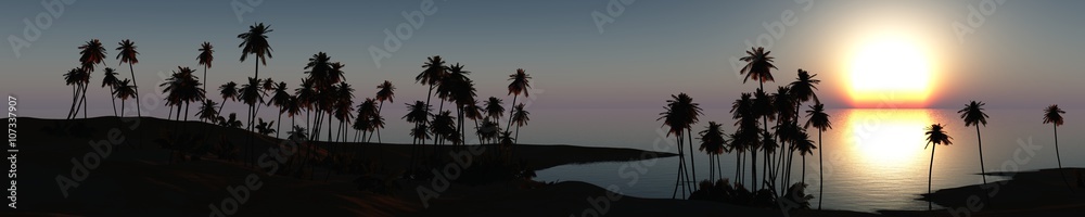 panorama of sea sunset, the sun on a tropical beach with palm trees, banners, 