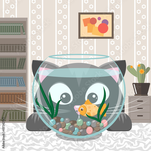 Black cat is looking at the fish in an aquarium