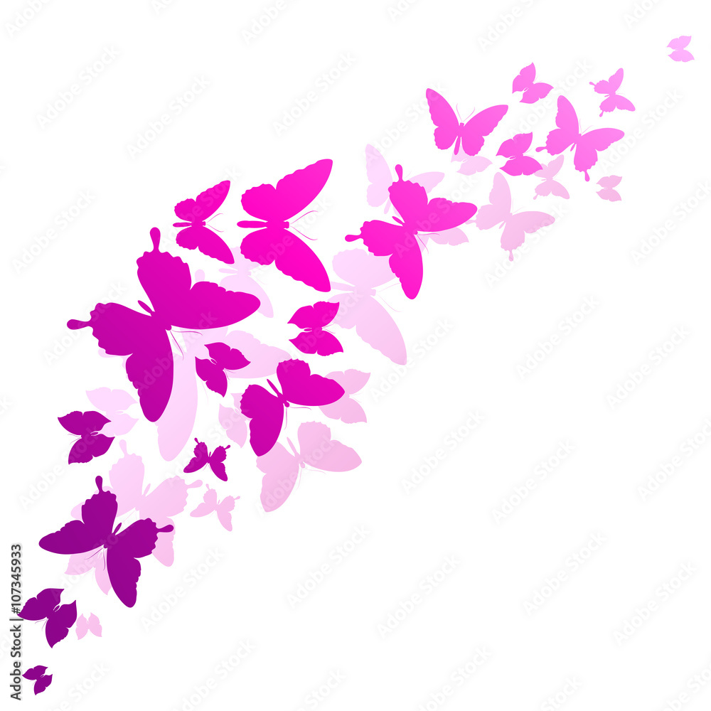 butterflies design butterflies design