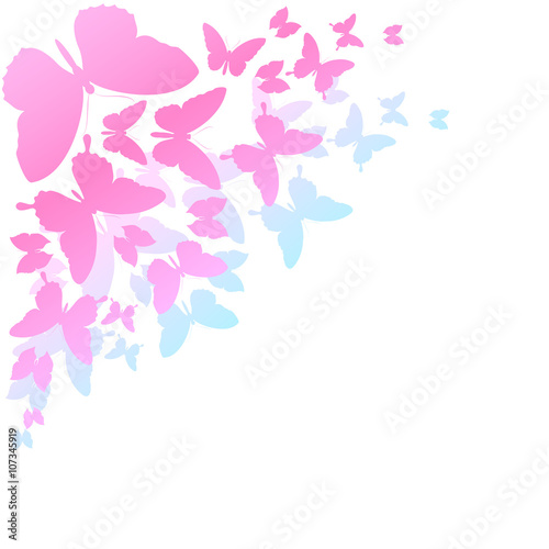 Wallpaper Mural butterflies design Torontodigital.ca