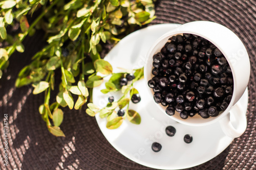 White cup with blueberry and branch green on the table