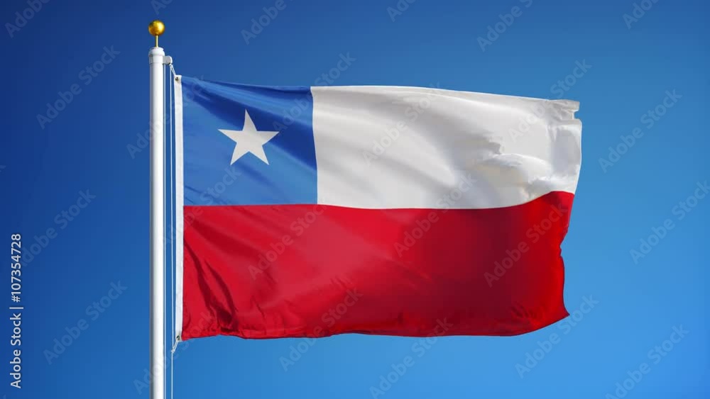 Chile flag waving in slow motion against clean blue sky, seamlessly looped, close up, isolated on alpha channel with black and white luminance matte, perfect for film, news, digital composition Chile flag waving in slow motion against clean blue sky, seamlessly looped, close up, isolated on alpha channel with black and white luminance matte, perfect for film, news, digital composition
