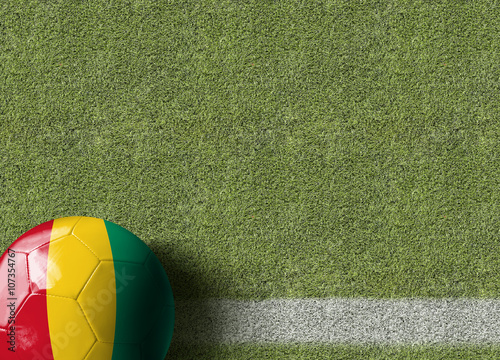 Guinea Ball in a Soccer Field
