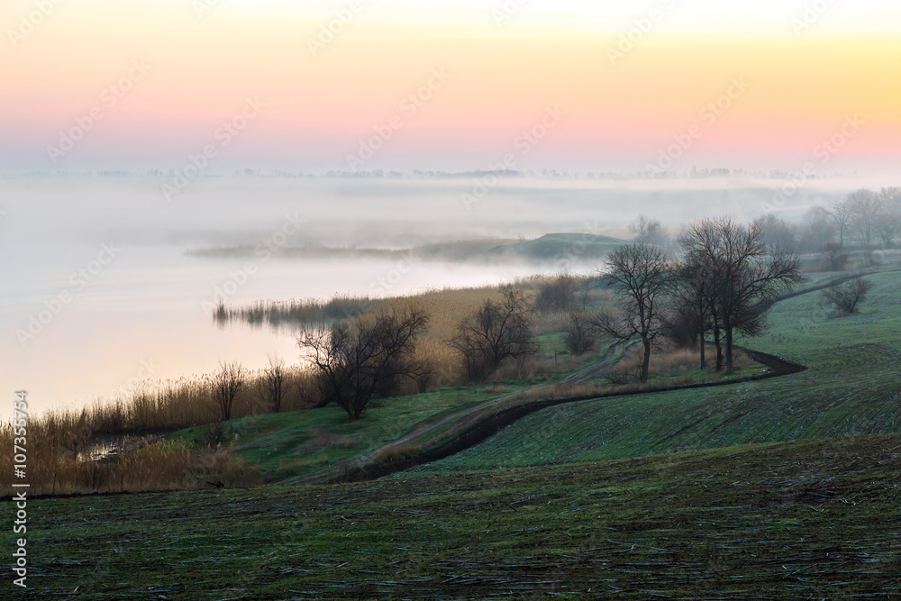 Idyllic Countryside Morning Landscape with Agriculture Field Fog Sunrise