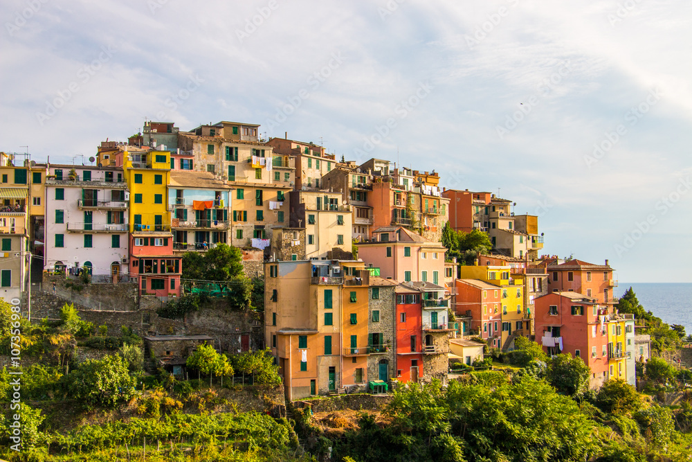 Obraz premium Corniglia, a coastal hilltop village in Cinque Terre, Italy 