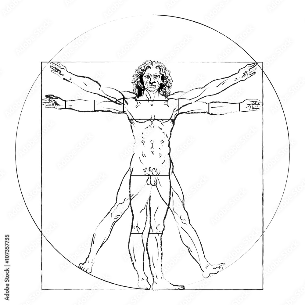 Fototapeta premium The Vitruvian man. Leonardo da Vinci 's Drawing on white, human anatomy, Vector 