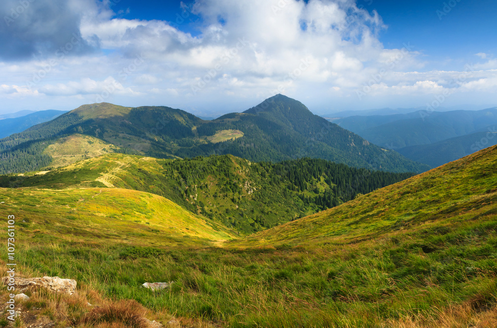 Sunny summer scene in the mountains. Sunny summer scene in the mountains.