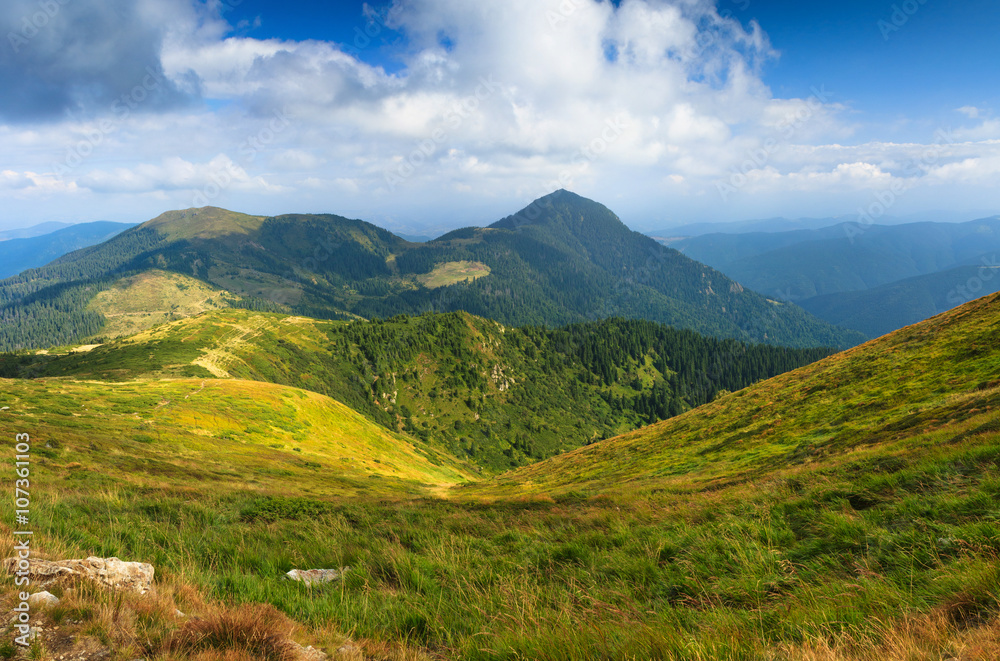 Sunny summer scene in the mountains.