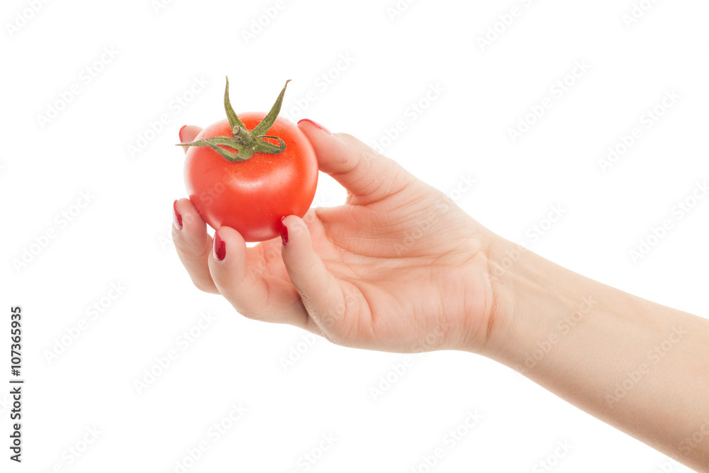 Beautiful woman hand holding a perfect red tomato isolated on wh Beautiful woman hand holding a perfect red tomato isolated on wh