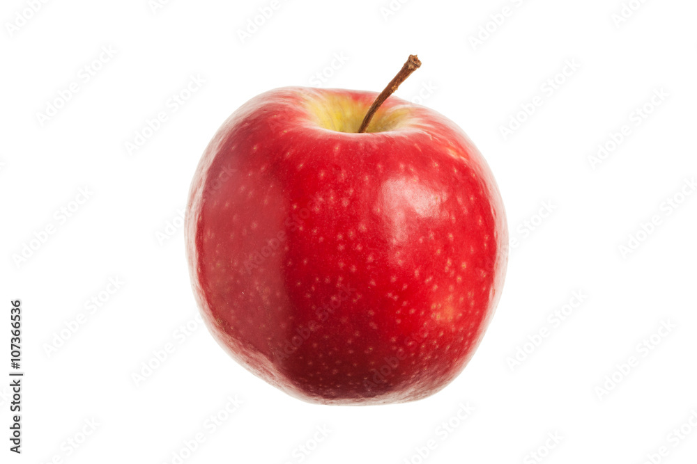 Single a red fresh apple. Isolated on white background. Close-up