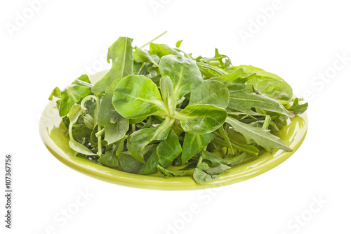 Arugula salad on a plate isolated on white background closeup. H