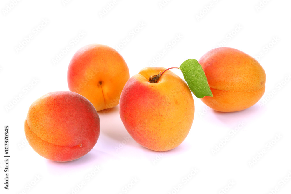 Abricots Abricots