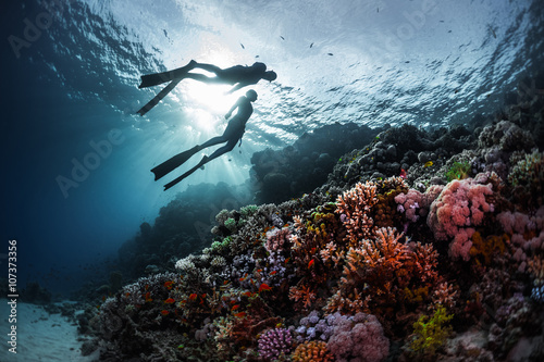Fotobehang Free divers