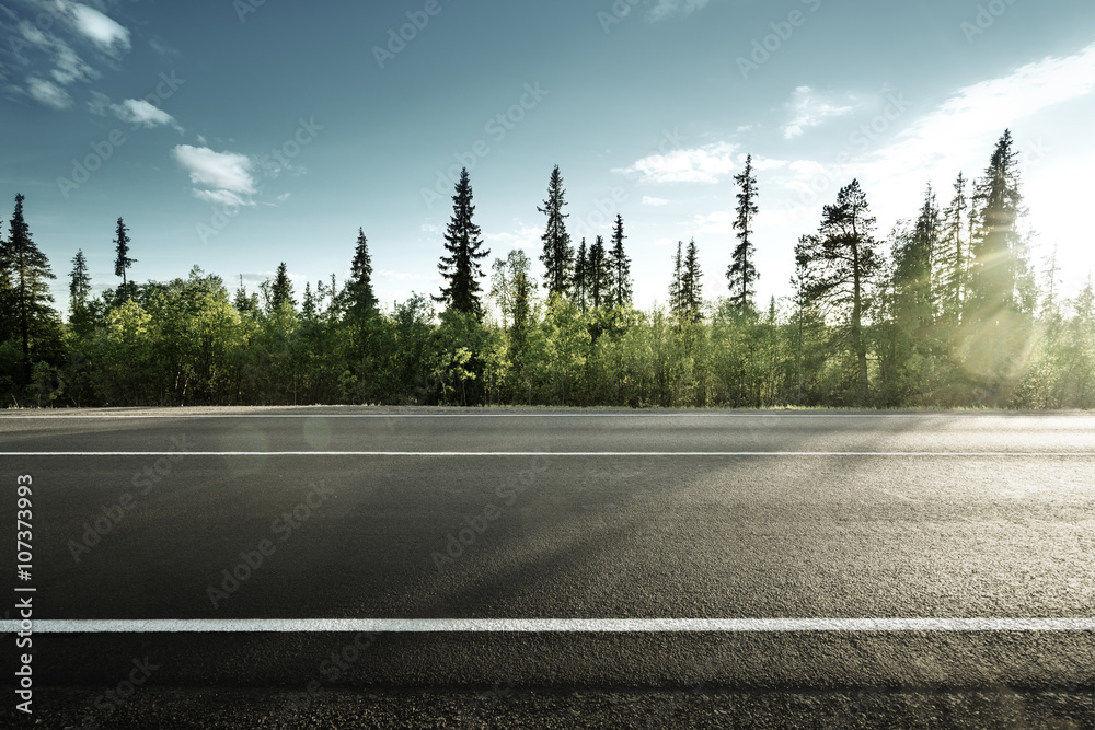 Naklejka premium droga asfaltowa w lesie