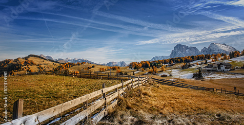 Autumn landscape with bright colors, house and larch trees in th