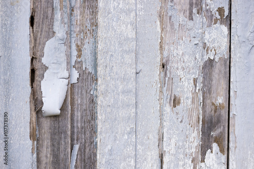 textured old wood grundge background