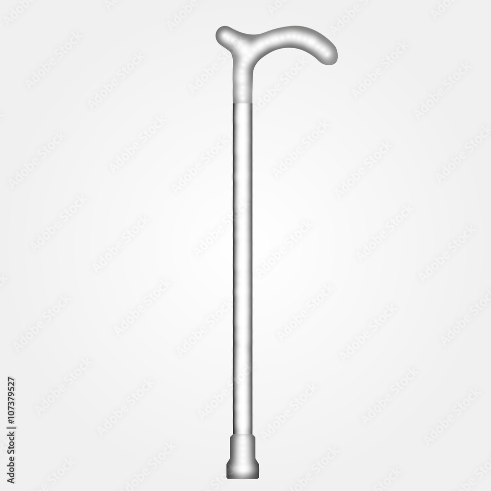 Walking stick Walking stick