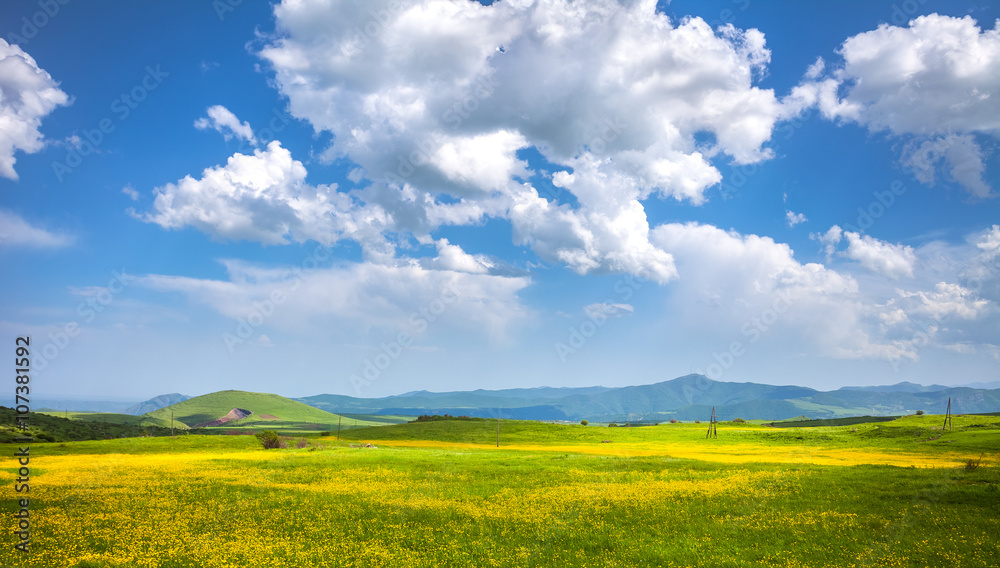 Fototapeta premium meadow, hills and blue sky