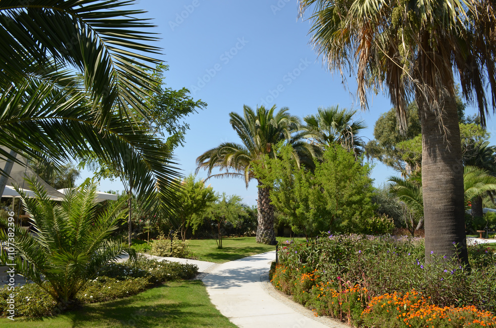 Palm trees and walkway in the garden of a hotel on the Turkish coast close to Kusadasi