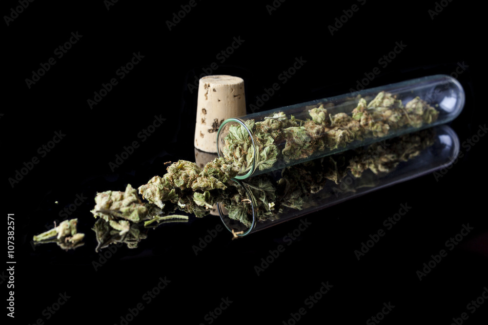 Medical cannabis buds in spilled and scattered from glass test tube with cork on black background from side Medical cannabis buds in spilled and scattered from glass test tube with cork on black background from side