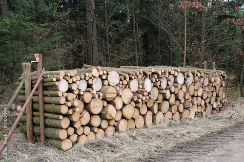 Brennholz im Winter