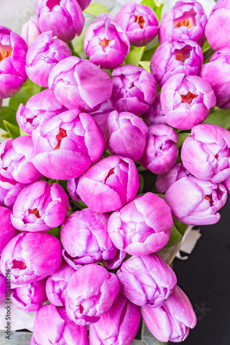 Anniversary pink tulip flower bouquet wrapped in white paper