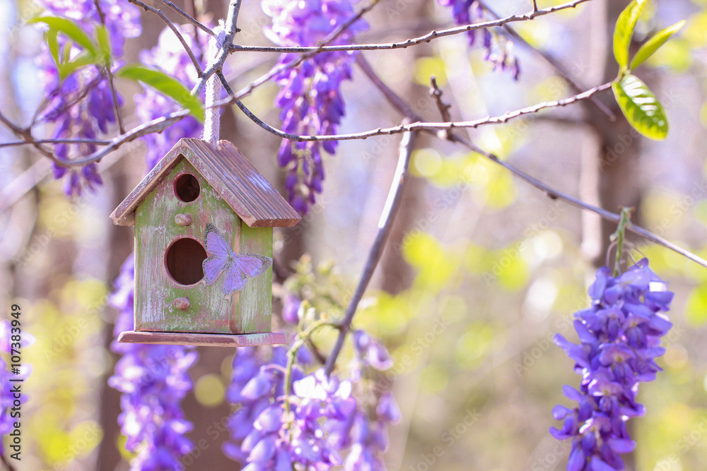 Birdhouse hanging from tree branch with purple flowers in background