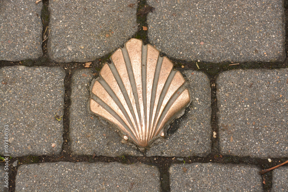 concha del Camino de Santiago en un suelo empedrado concha del Camino de Santiago en un suelo empedrado