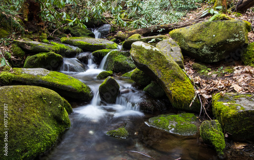 River On The Roaring Fork Nature Trail. River on the Roaring Fork Motor Nature Trail in the Great Smoky Mountains National Park. Gatlinburg, Tennessee.