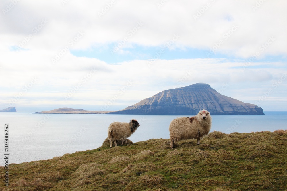 Obraz premium The nature of the Faroe Islands 