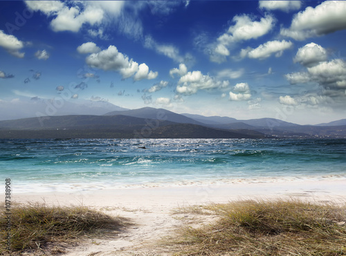 Seagull above the sea photo