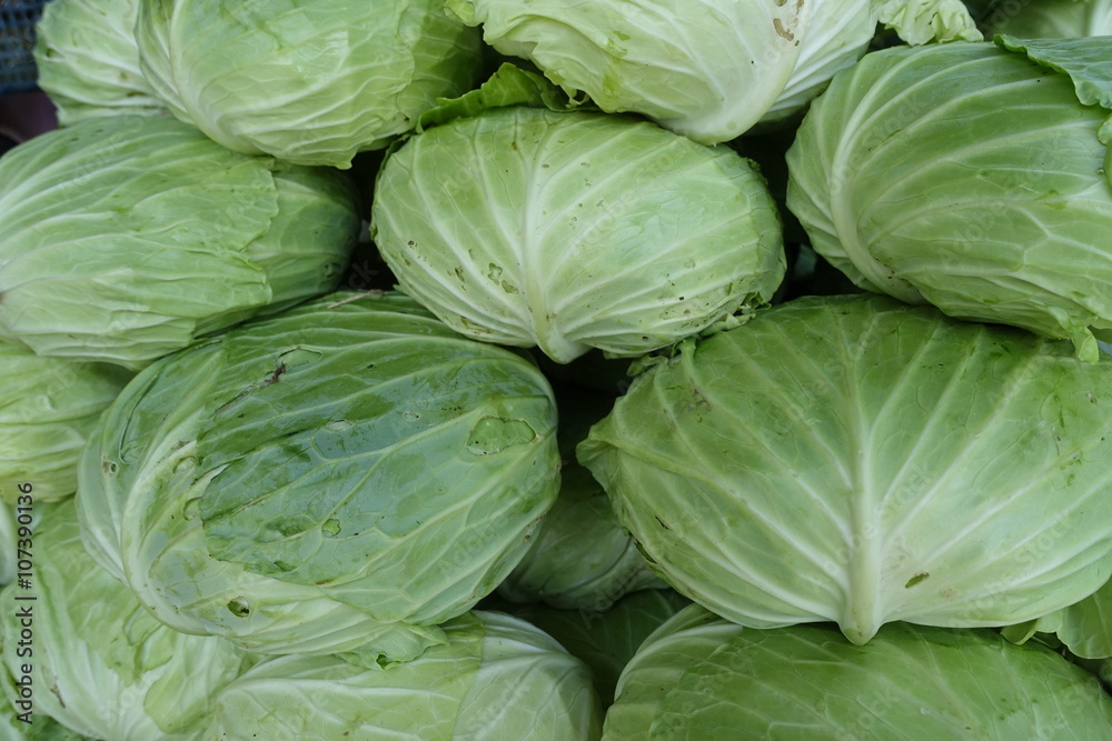 Organic cabbage arranged on truck for sale Organic cabbage arranged on truck for sale