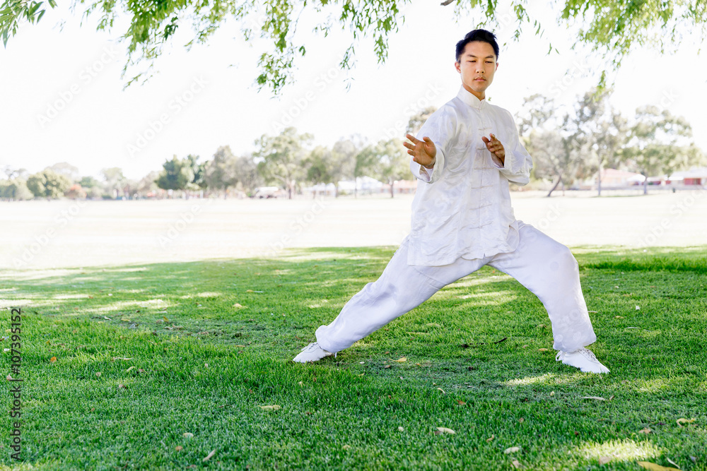 Handsome man practicing thai chi Handsome man practicing thai chi