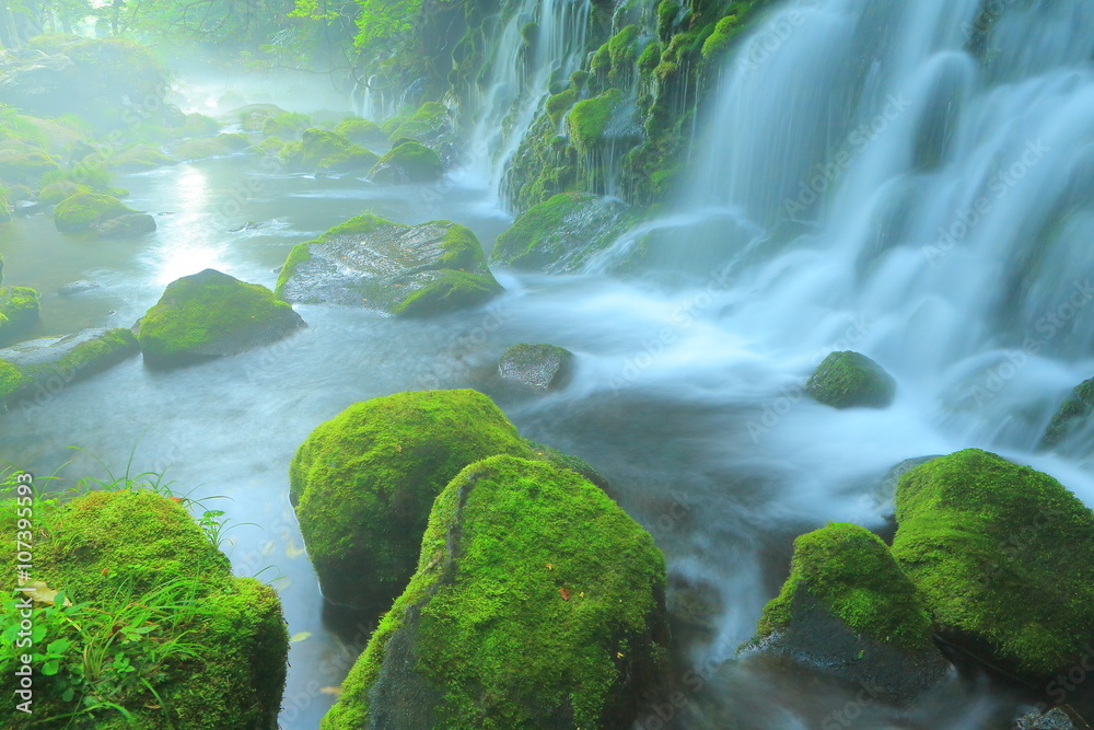 Fototapeta premium 元滝伏流水