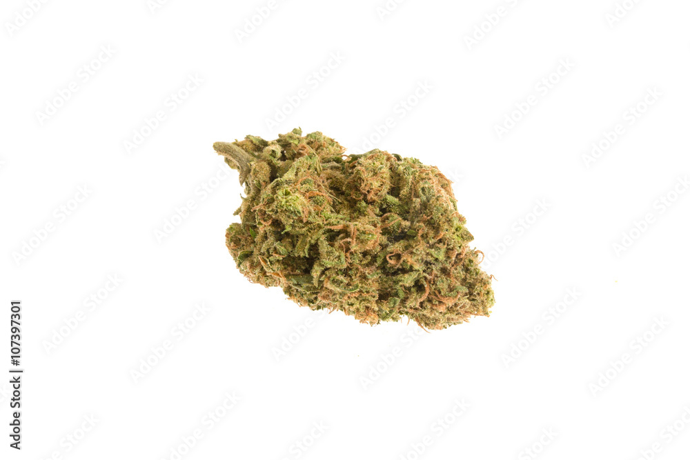cheese marijuana cheese marijuana