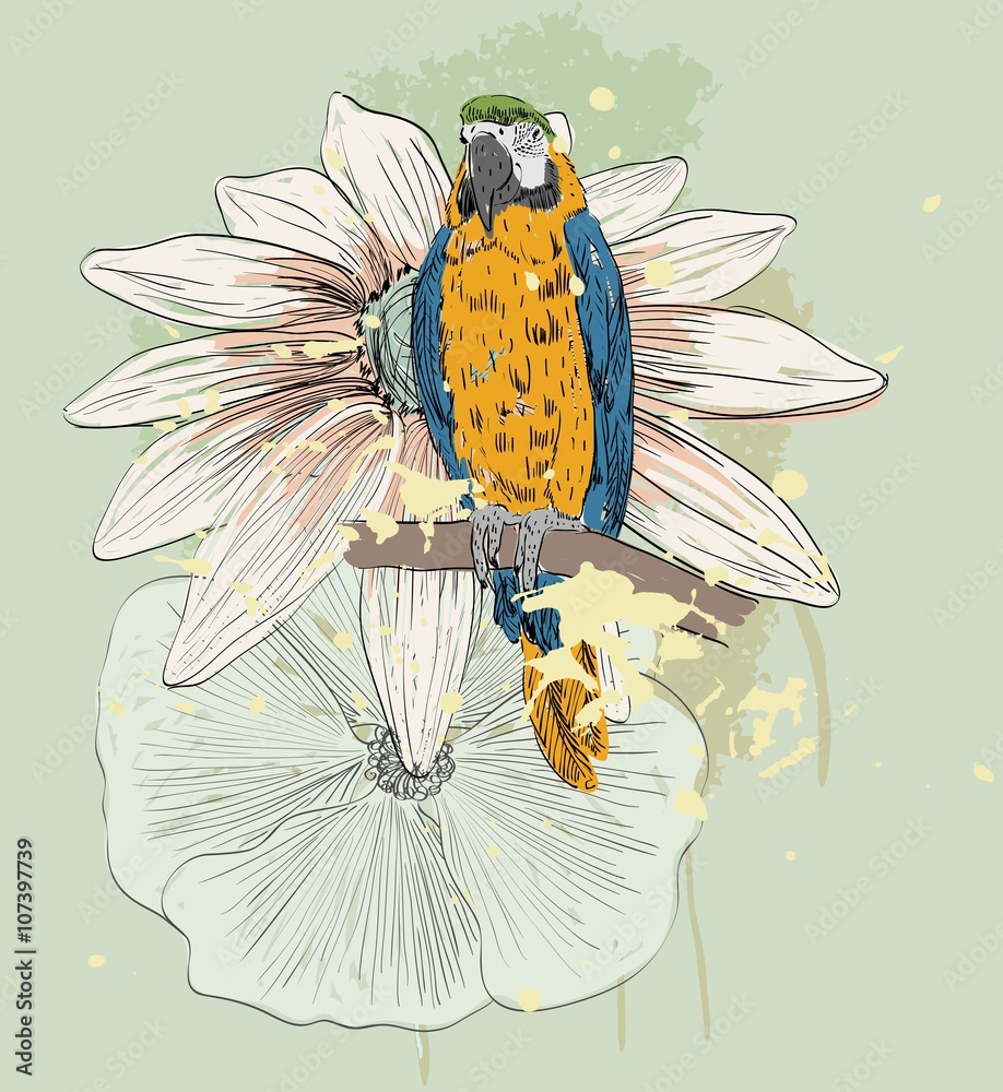 Obraz premium Vector sketch of a parrot with flowers. Hand drawn illustration