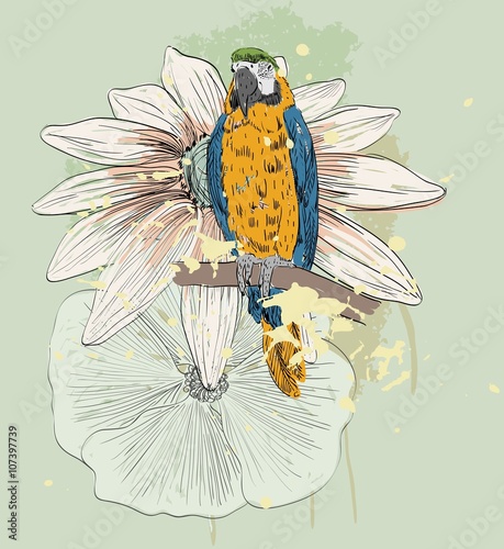 Vector sketch of a parrot with flowers. Hand drawn illustration