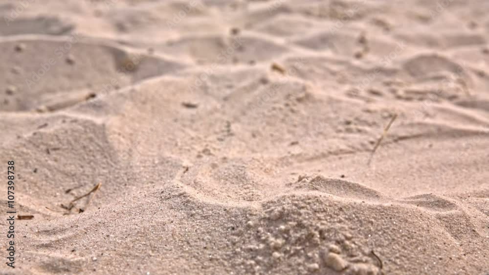 Dried sand falling close up Dried sand falling close up