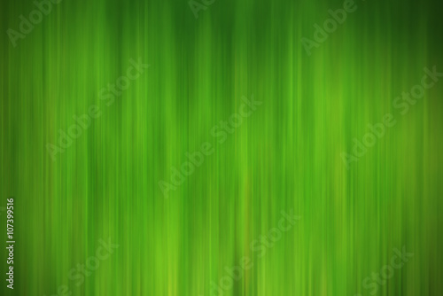 Abstract green color background  colorful concept and defocus idea