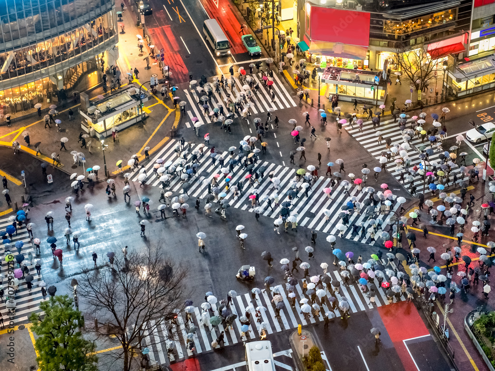 Fototapeta Przejście Shibuya w Tokio w Japonii