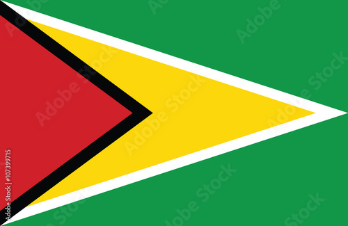 Guyana flag. Free Download Guyana flag. - GFXLoad