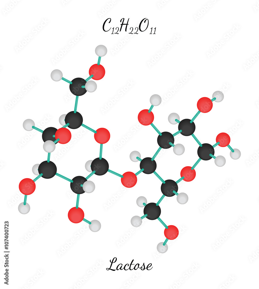 C12H22O11 Lactose molecule